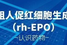 认识药物 | 重组人促红细胞生成素(rh-EPO)-CHINA320-血液疾病病友之家