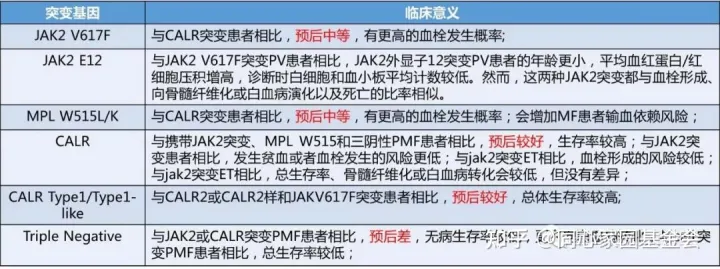 关于MPN的经典突变,看WHO、NCCN和中国专家共识怎么说