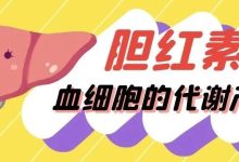 认识检查 | 胆红素——血细胞的代谢产物-CHINA320-血液疾病病友之家