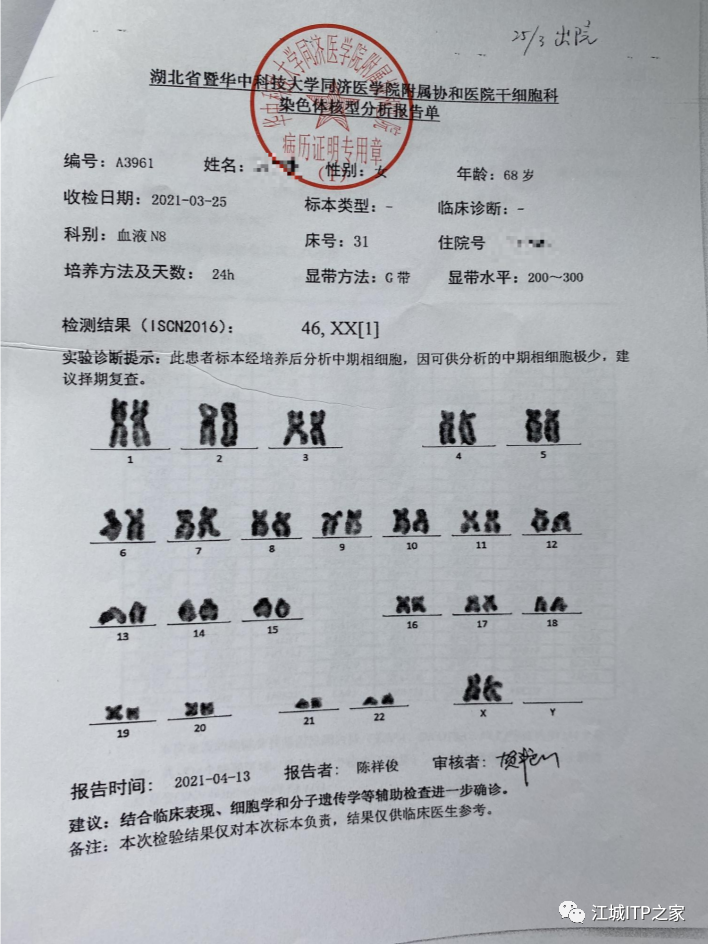 大咖谈病例 | 梅恒教授点评—肿瘤化疗后血小板减少症（CIT）病例解析-ITP家园