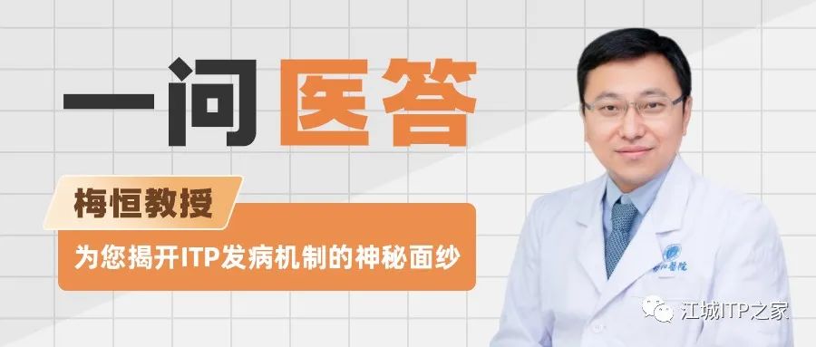 一问医答 | 梅恒教授为您揭开ITP发病机制的神秘面纱-ITP家园