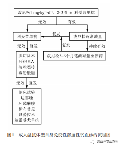 疾病指南 | 中国成人自身免疫性溶血性贫血诊疗指南(2023年版)