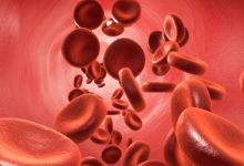 Luspatercept在骨髓增殖性肿瘤相关骨髓纤维化中探索安全及有效性-CHINA320-血液疾病病友之家