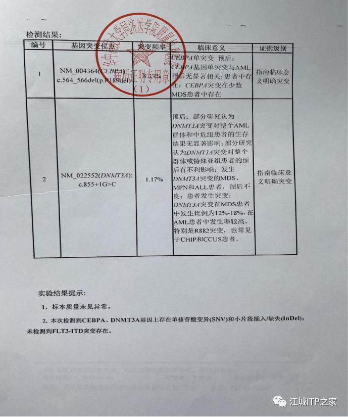大咖谈病例 | 梅恒教授点评—肿瘤化疗后血小板减少症（CIT）病例解析-ITP家园